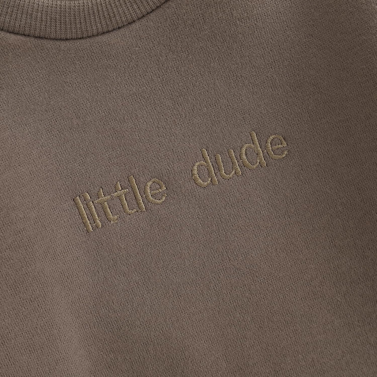Polinkety Newborn Baby Boy Fall Romper Onesie Little Dude Embroidery Long Sleeve Footless Jumpsuit Winter Outfit Clothes - Image 5